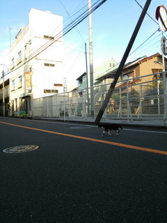 01neco.jpg