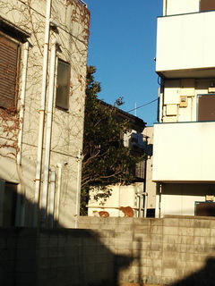 01tneco.jpg