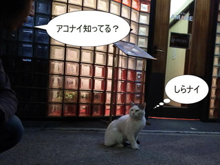 sアコナイしってる.jpg