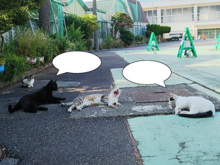00吹き出し.jpg