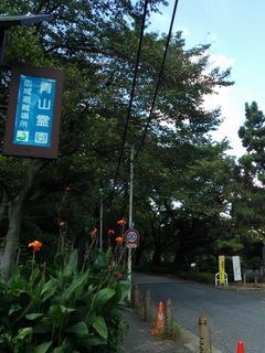 01ao.jpg