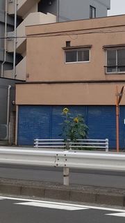 01hi.jpg
