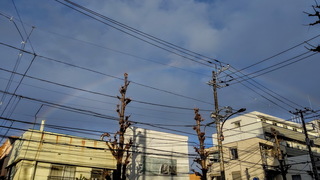 01rb.jpg