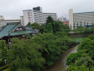 01ri.jpg