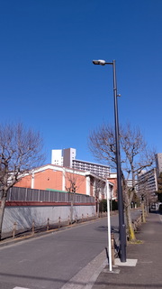 01t2.jpg