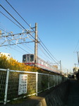 01tokiwa.jpg