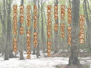 02坊.jpg