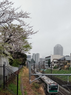 02a.jpg