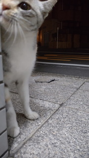 02c.jpg