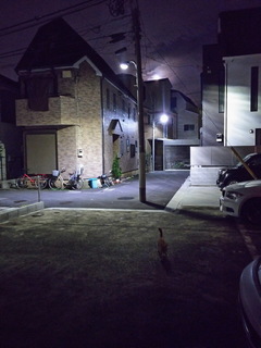 02ch.JPG