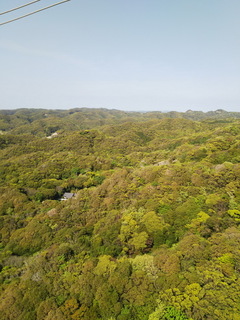 02f.jpg
