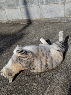 02g.jpg