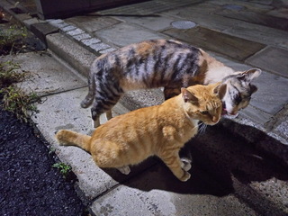 02na.jpg