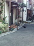 02tokiwa.jpg