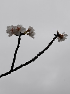 03a.jpg