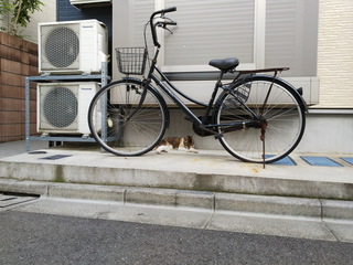 03hebi.jpg