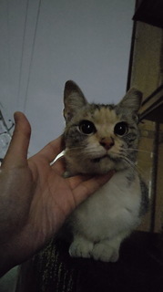 04aa.jpg