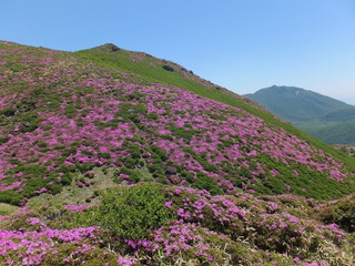 05坊.jpg