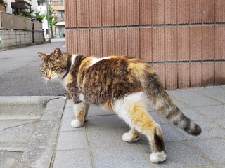 05hebi.jpg