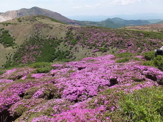 06坊.jpg