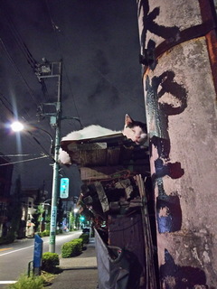 07ya.jpg