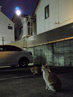0871378E-3077-4FBB-ACD4-26BA47570515.jpeg