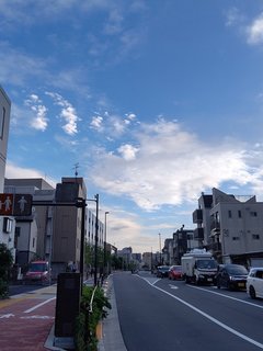 53FA2055-6E0E-4BB0-A33E-FECD95F1F325.jpeg