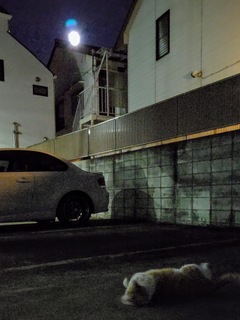 839AB87E-5B1A-45AB-8AFC-9B695DF87120.jpeg