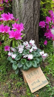 969B410B-8CAA-4BA4-B104-4E7450F26BA9.jpeg