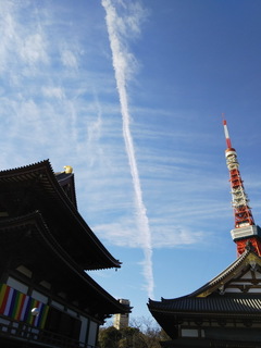 DSC_2295.JPG