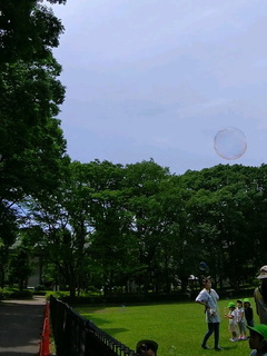 01.jpg
