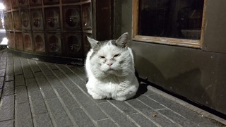 d02.jpg