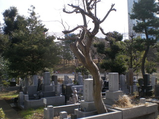 01.jpg