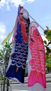 鯉のぼり.jpg