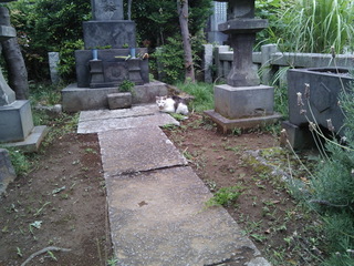 a02.jpg