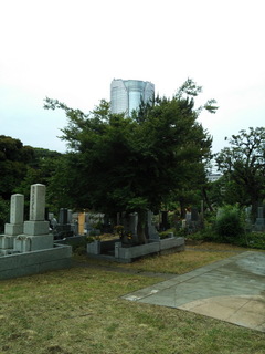 a03.jpg