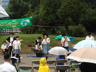 a03t.jpg