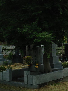 a04.jpg