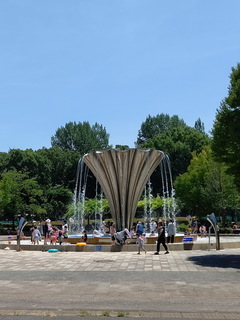 a7.jpg