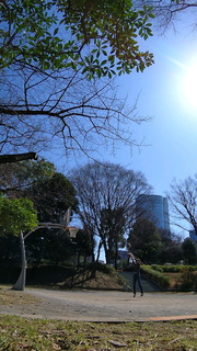 aoyama.jpg