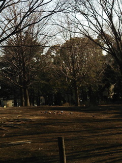 ba02.jpg