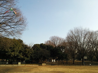ba04.jpg