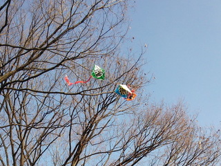 ba05.jpg