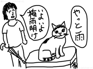 chaba.jpg