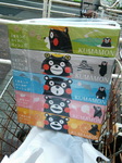 kuma1229.jpg