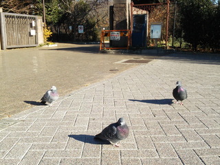 mitsu1.jpg