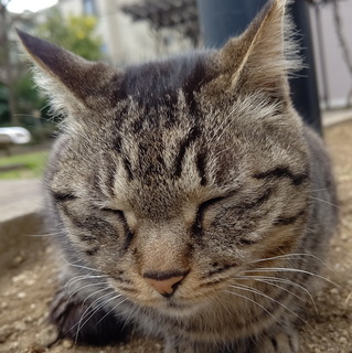 ne03.jpg