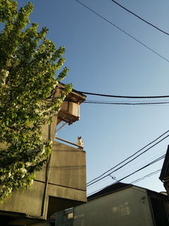 nec05.jpg