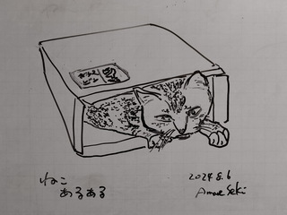 neco.jpg