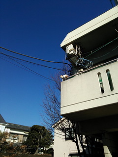 neco002.jpg